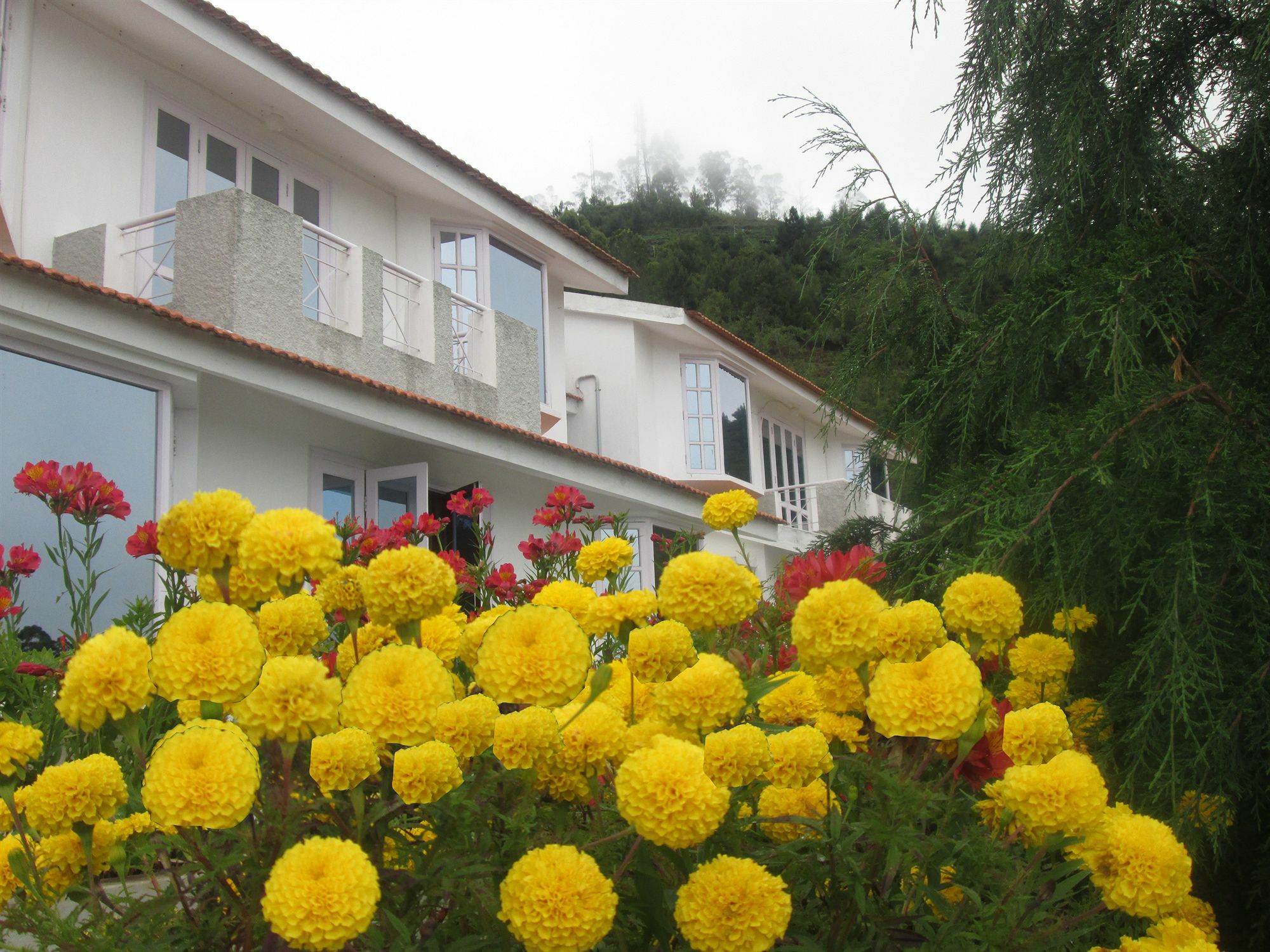 Country Club Valley Vista Кодайканал Екстериор снимка